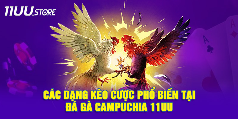 Tổng Hợp Những Dạng Kèo Thường Gặp Khi Chơi Đá Gà Campuchia