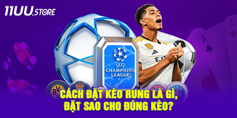 Chiến lược đặt kèo rung thông minh giúp bạn tối ưu lợi nhuận