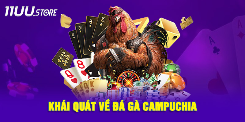 Đôi Nét Về Đá Gà Campuchia Tại 11UU