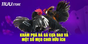 Bật Mí Về Đá Gà Cựa Dao Và Bí Quyết Giúp Bạn Dễ Ăn Kèo