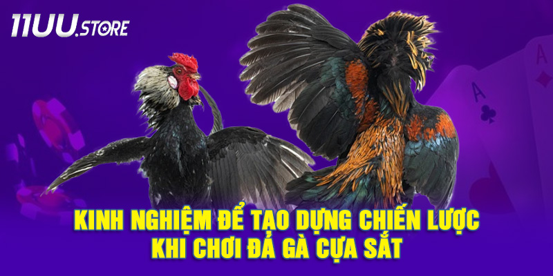 Bật Mí Kinh Nghiệm Xây Dựng Chiến Lược Khi Chơi Đá Gà Cựa Sắt