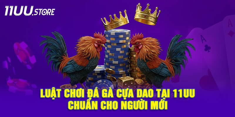 Quy Tắc Cơ Bản Trong Đá Gà Cựa Dao Mà Bạn Cần Biết