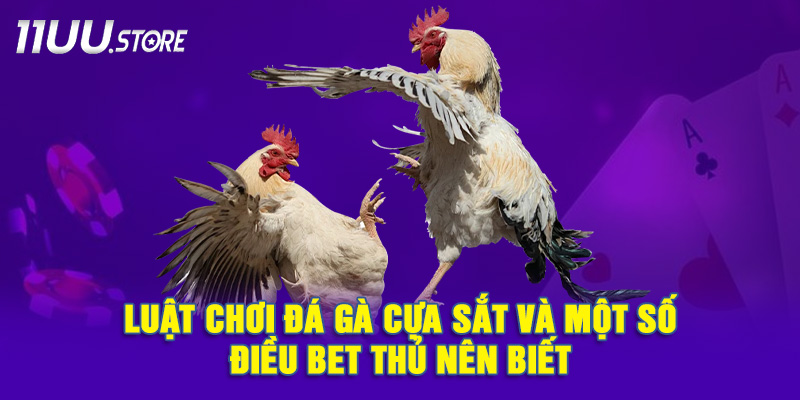 Quy Tắc Thi Đấu Trong Đá Gà Cựa Sắt Và Những Điều Cần Lưu Ý