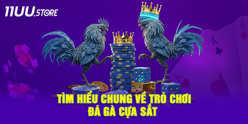 Giới Thiệu Tổng Quan Về Môn Đá Gà Cựa Sắt