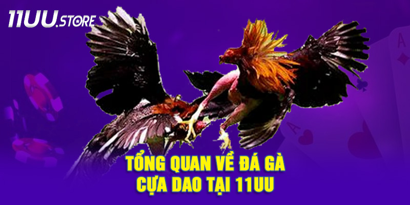 Đôi Nét Về Đá Gà Cựa Dao Tại 11UU