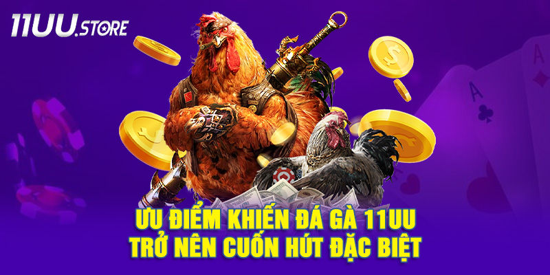 Những ưu thế vượt trội khiến đá gà 11UU luôn được yêu thích